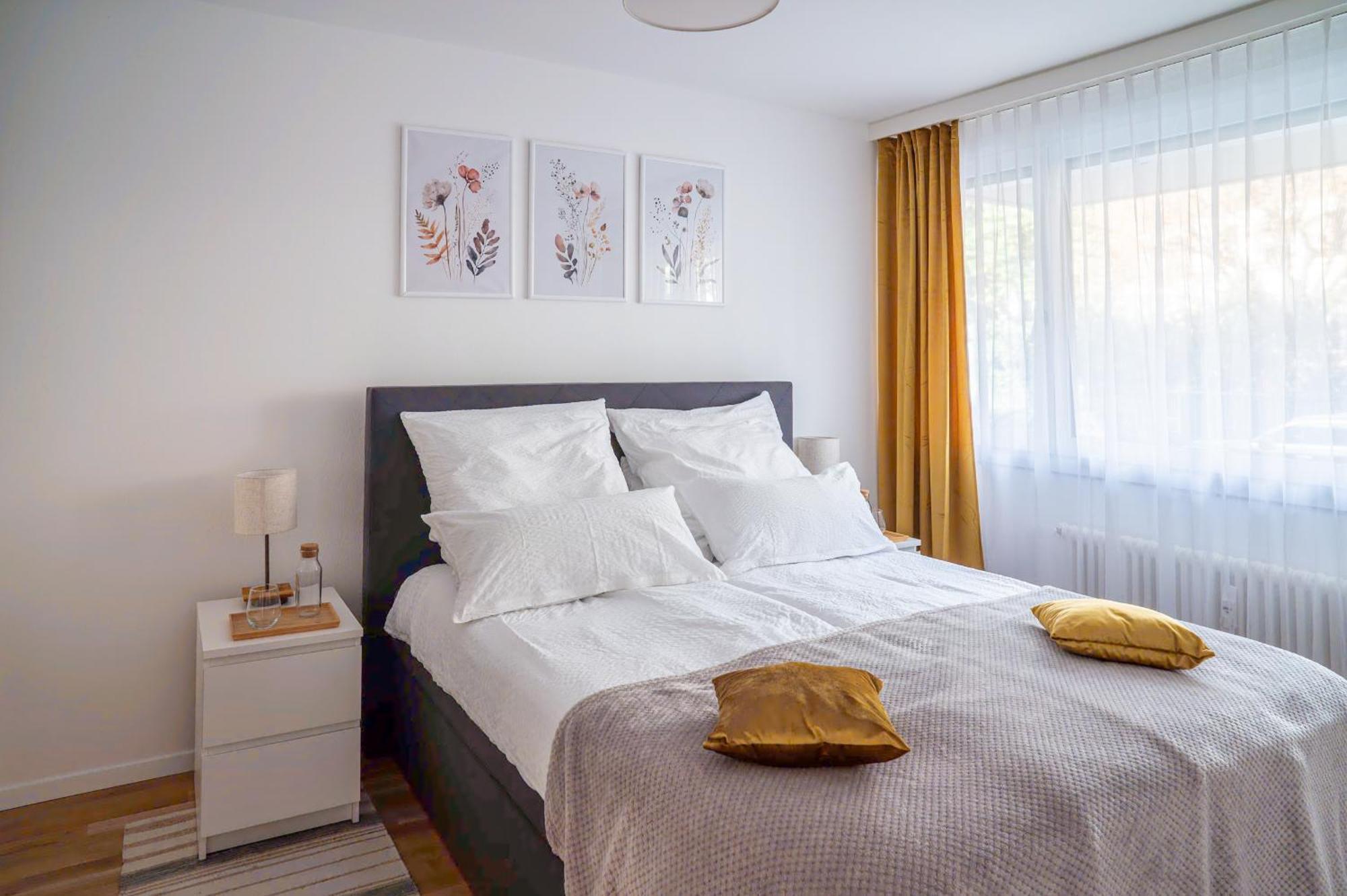 Expo-Basel-Ch Apt, Amazon Prime Video, Wifi, Coffee & Tee, Popcorn, Kitchen Экстерьер фото